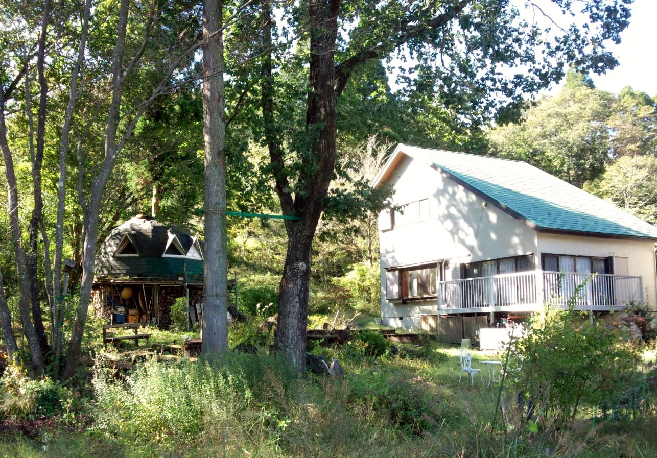 活動風景